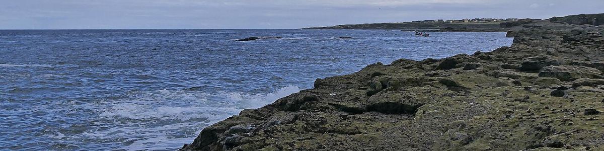 Waves breaking against a low rocky shoreline under a pale sky, with a scattering of houses along the headland in the distance.